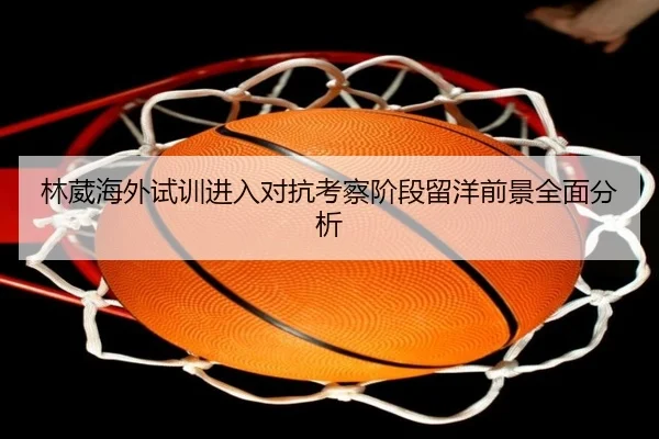 林葳海外试训进入对抗考察阶段留洋前景全面分析 | PINBO.COMapp
