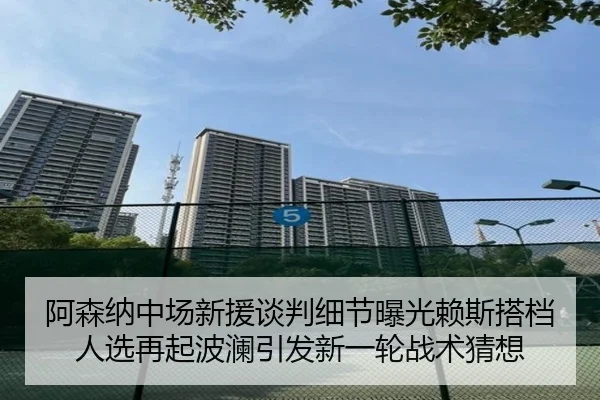 阿森纳中场新援谈判细节曝光赖斯搭档人选再起波澜引发新一轮战术猜想 | PINBO.COMapp