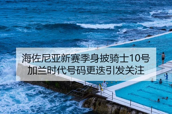 海佐尼亚新赛季身披骑士10号 加兰时代号码更迭引发关注 - PINBO.COMapp