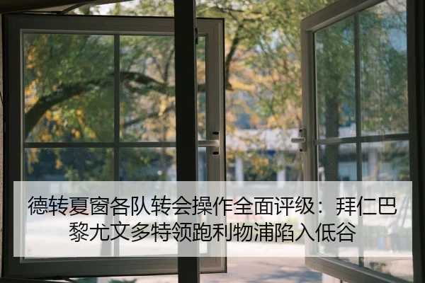 德转夏窗各队转会操作全面评级：拜仁巴黎尤文多特领跑利物浦陷入低谷 - PINBO.COMapp